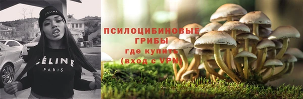 индика Лиски