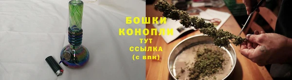 индика Лиски