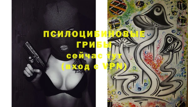 mdpv Липки