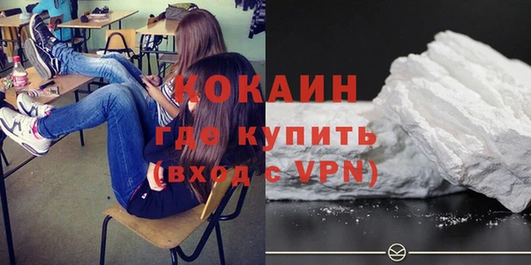 индика Лиски