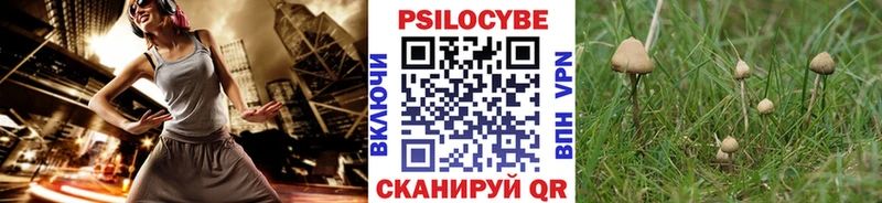 Галлюциногенные грибы GOLDEN TEACHER  Купить  Лысково 